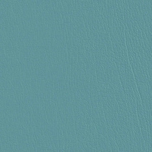 Light Teal
