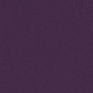 Purple Iris