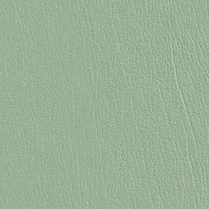 Sea Foam