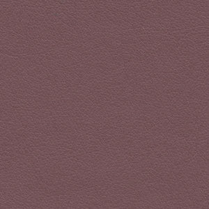 boysenberry
