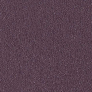 Wood Violet