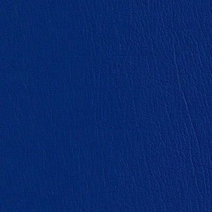 Blue Jay
