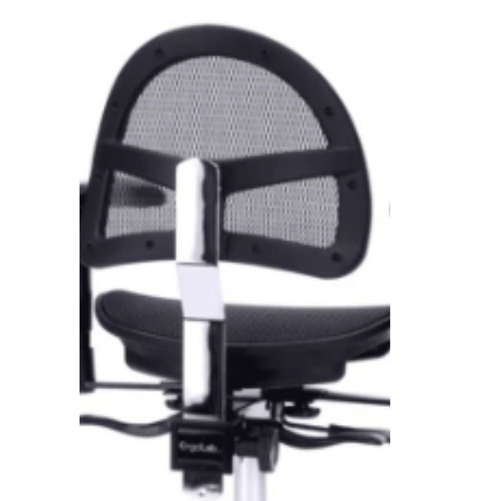 Executive back rest for Virtu Chair - Crownseating  200.00